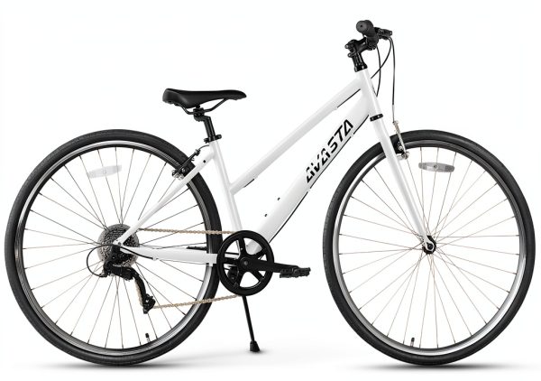 Hybrid Bike AVASTA Populus Aluminum Commuter-1