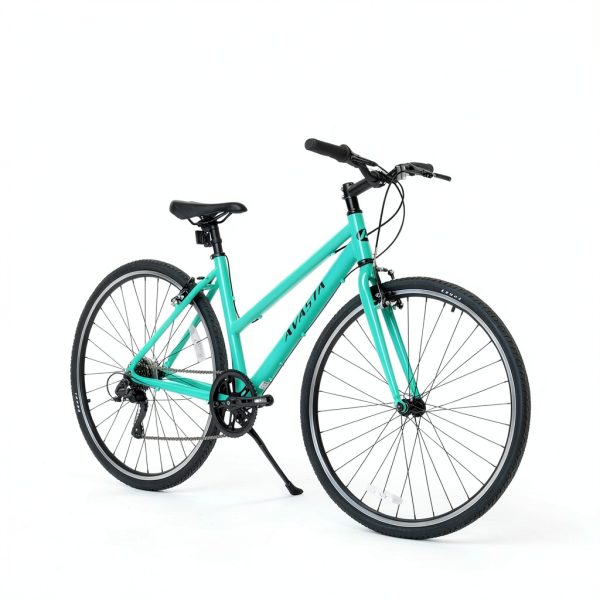 AVASTA City Bike Aluminum Frame-6