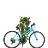 AVASTA City Bike Aluminum Frame-4