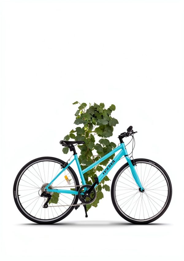 AVASTA City Bike Aluminum Frame-4