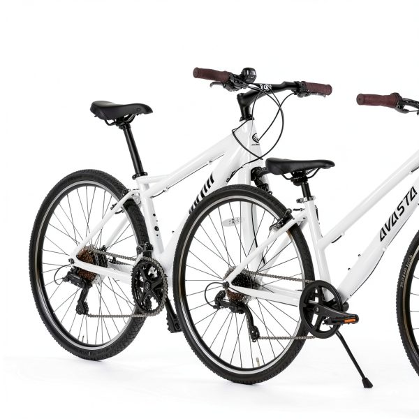 Hybrid Bike AVASTA Populus Aluminum Commuter-2
