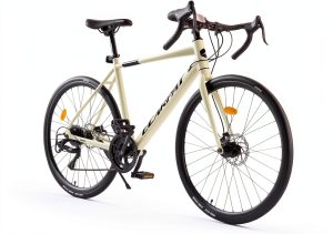 Ecarpat Road Bike Aluminum Frame 16-Speed-0