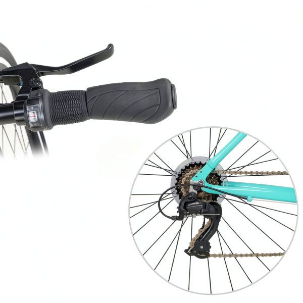 AVASTA City Bike Aluminum Frame-2
