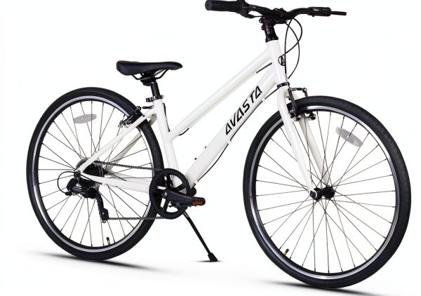 Hybrid Bike AVASTA Populus Aluminum Commuter-0