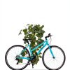 AVASTA City Bike Aluminum Frame-7