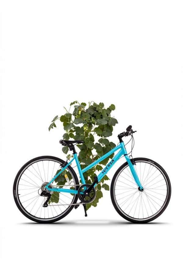 AVASTA City Bike Aluminum Frame-7