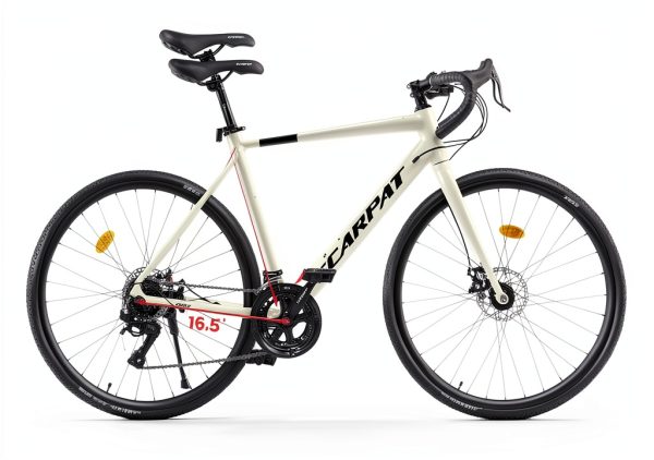 Ecarpat Road Bike Aluminum Frame 16-Speed-6