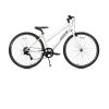 Hybrid Bike AVASTA Populus Aluminum Commuter-4